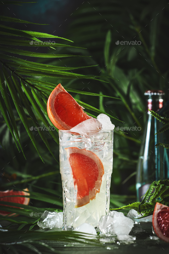 Gin bitter grapefruit long drink cocktail with dry gin, tonic, and ice