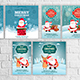 Merry Christmas Social Media Stories &amp; Banners - VideoHive Item for Sale
