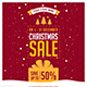 Christmas Sale Social Media Stories &amp; Banners - VideoHive Item for Sale