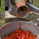 Classic handmade tomato collecting and puree with ancient metal press sauce maker - PhotoDune Item for Sale