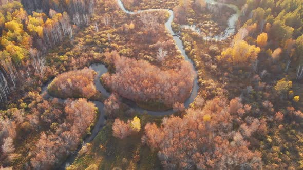 Autumn Aerial Landscape with River