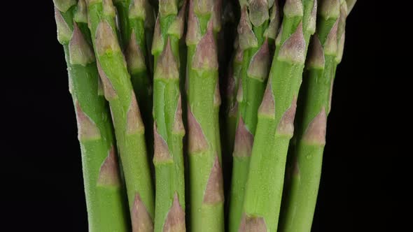 asparagus. green asparagus bunch isolated on black background alt