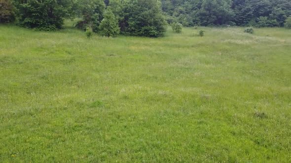 Aerial Shot Of Green Grass - 8 Clips Included alt