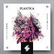 Plantica – Music Album Cover Artwork Template
