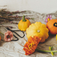 Autumn still life. Pumpkins , scissors and autumn flowers composition on rustic paper. Hello fall - PhotoDune Item for Sale