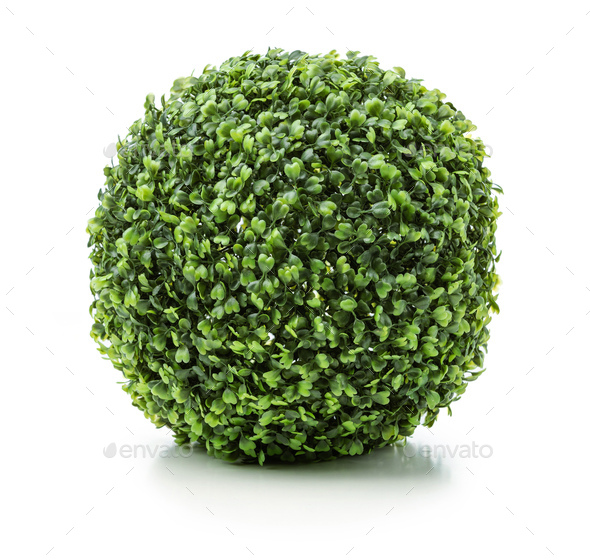 Small-leaved artificial plant in round shape over white - Stock Photo - Images