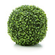 Small-leaved artificial plant in round shape over white - PhotoDune Item for Sale