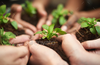 Cropped shot of a group of people each holding a plant growing in soil together