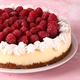 New York cheesecake with cream and fresh berries - PhotoDune Item for Sale