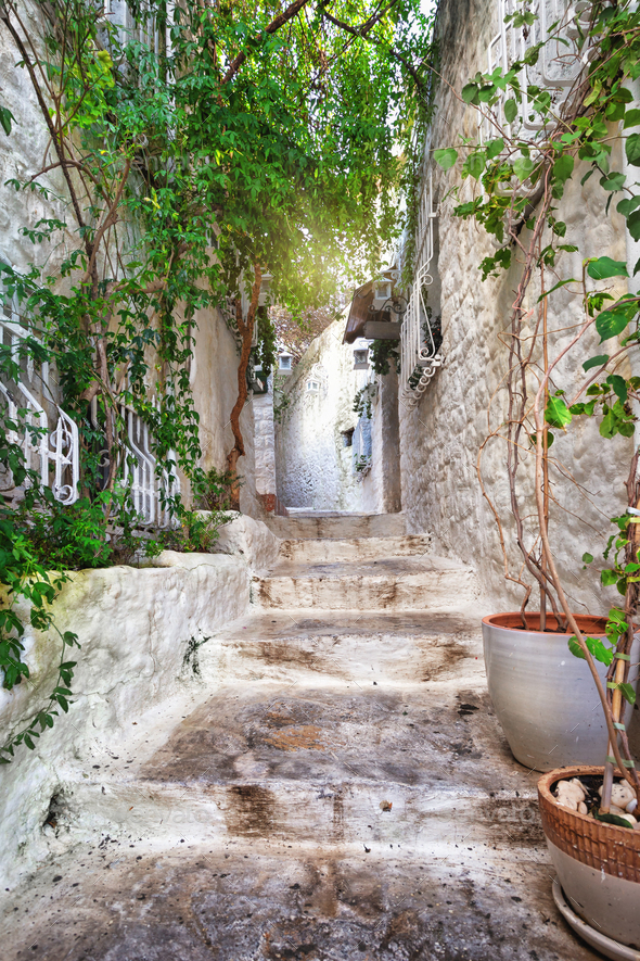 Narrow street with stone houses and green plants - Stock Photo - Images