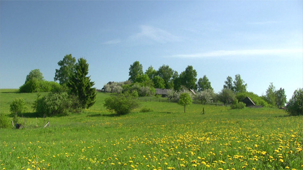 Rural Landscape With Apple Garden 