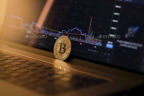 Bitcoin halving. Cryptocurrency trading. Trading at home.  - Stock Photo - Images