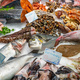 Great chocie of fresh fish and seafood - PhotoDune Item for Sale