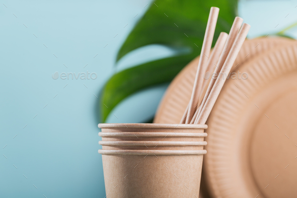 Eco-friendly disposable utensils made of craft paper