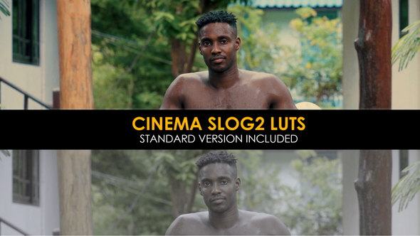 Cinema Slog2 and Standard Luts for Final Cut