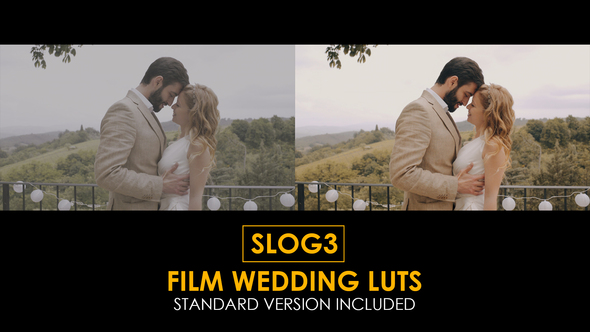 Slog3 Film Wedding and Standard Luts for Final Cut