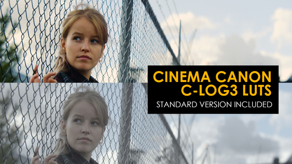 Cinema Canon C-Log3 and Standard Luts for Final Cut