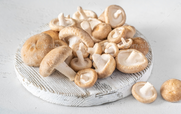 Shiitake mushrooms - Stock Photo - Images