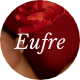 Eufre - Creative Design Agency Theme