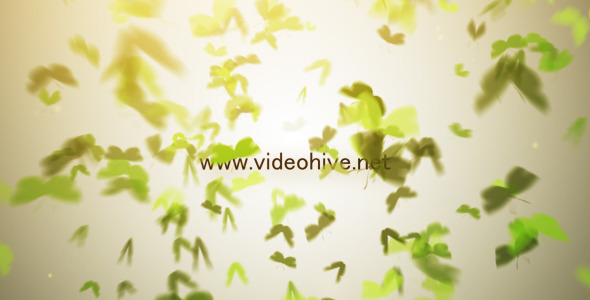 Butterfly Logo - VideoHive 3396788
