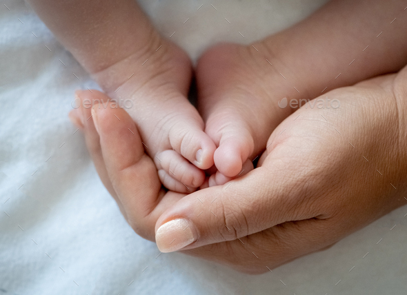Tiny feet the of a newborn baby in the mother's palms.  Mom holds a newborn baby's feet in her hands - Stock Photo - Images