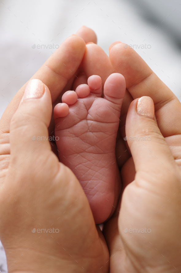 Tiny foot of a newborn baby in the mother's palms.  Mom holds a newborn baby's foot in her hands.   - Stock Photo - Images