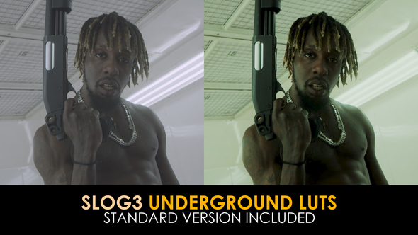 Slog3 Underground And Standard LUTs for Final Cut