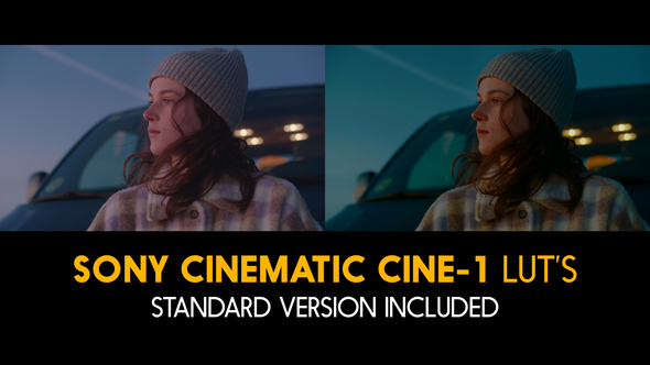 Sony Cinematic Cine-1 and Standard Luts for Final Cut