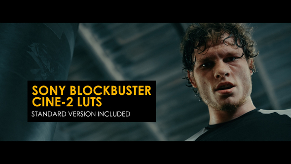 Sony Blockbuster Cine-2 and Standard LUTs for Final Cut