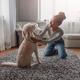 Cheerful happy young stylish woman laughing and playing with dog at home. Pet owner. - PhotoDune Item for Sale