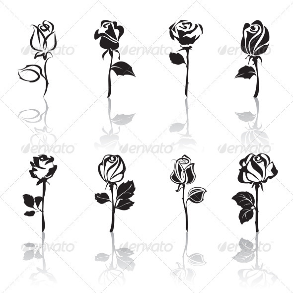Icon set of Roses with Reflections - Nature Conceptual