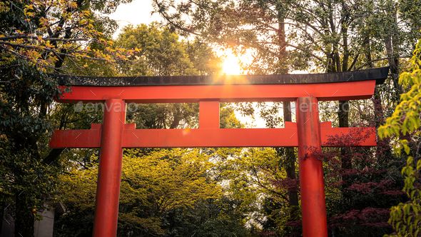 Beautiful red tori gate at Maruyama of Kyoto. Park with japanese torii gateways
