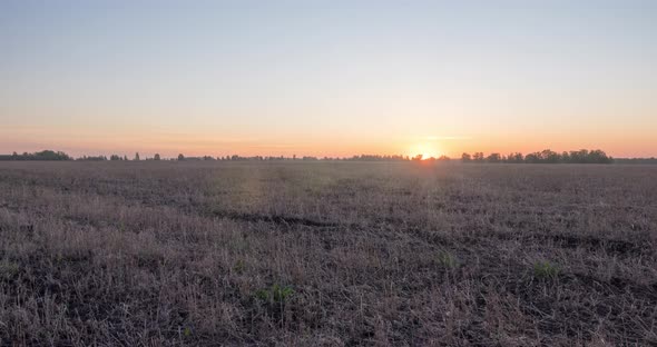 Flat Hill Meadow Timelapse at the Summer Sunrise Time alt