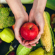 Close-up, an apple in a female hand on a blurred background with vegetables. - PhotoDune Item for Sale