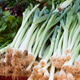 Green onions pile veggie market offer - PhotoDune Item for Sale