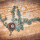 Pine cone on piece of branch on wooden platform - PhotoDune Item for Sale