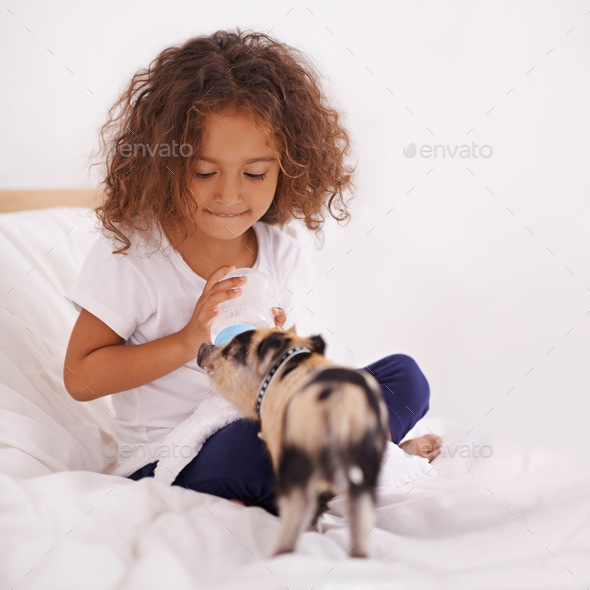 A cute little girl sitting on her bed and feeding her pet piglet