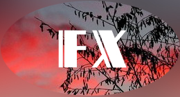 FX