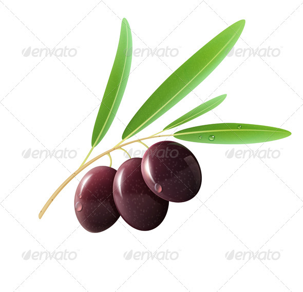 Three Black Olives - Organic Objects Objects