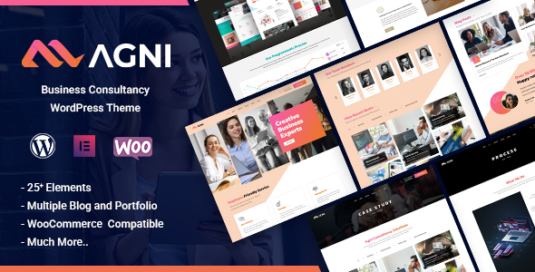 Agni – Business Consulting WordPress Theme
