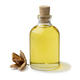 Bottle beech nut oil and a single beechnut on white background - PhotoDune Item for Sale