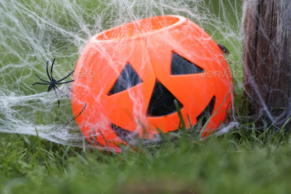 Halloween Pumpkin with a creepy smile on grass in nature in spiders web