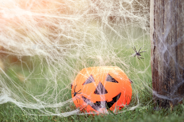 Halloween Pumpkin candy jar with a creepy smile on grass in nature in spiders web. Happy Halloween