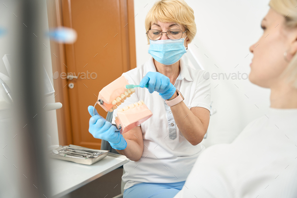 Adult dentist shows proper brushing of teeth Stock Photo by svitlanah