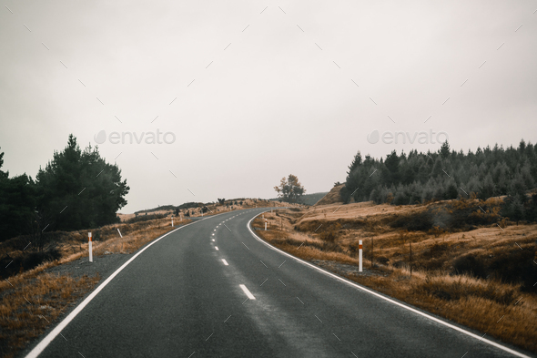 gentle curve of the quiet and lonely road through the forest among the trees a gloomy sunless day