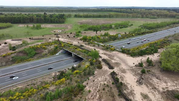 Ecoduct Ecopassage or Animal Bridge Crossing Over the A12 Highway in the Netherlands alt