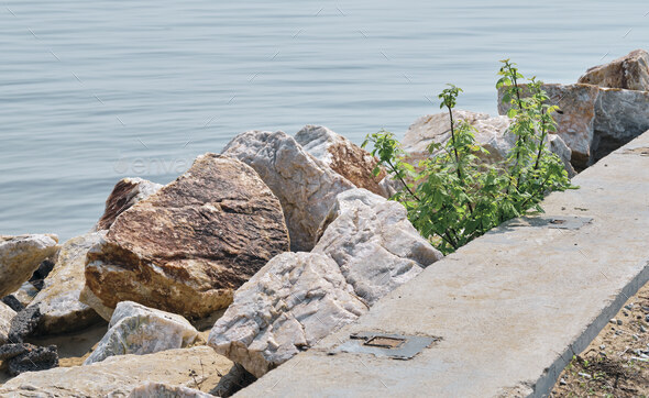 Large White Rocks 