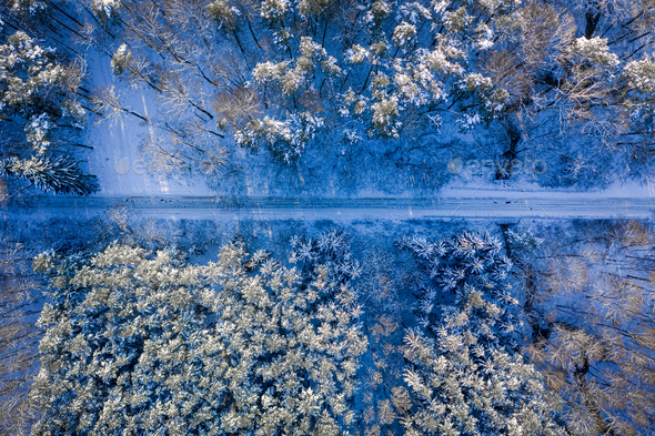 Transport in winter. Snowy road and forest in winter. - Stock Photo - Images