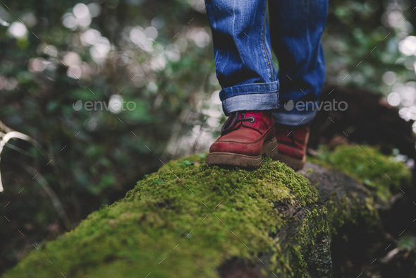 Close up of red boots people walking in balance on a trunk with green musk. Concept of nature