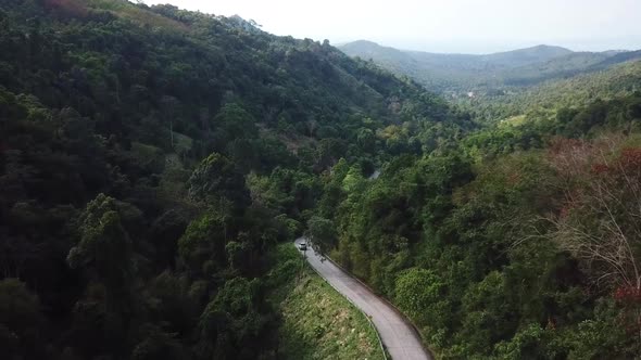 Aerial View of a Road Running Through the Palm Grove of Koh Samui Island